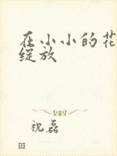 在小小的花蕾中绽放