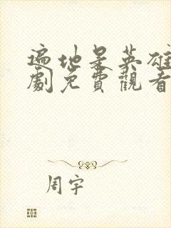 遍地是英雄电视剧免费观看