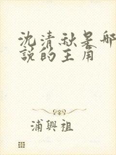 沈清秋是哪部小说的主角