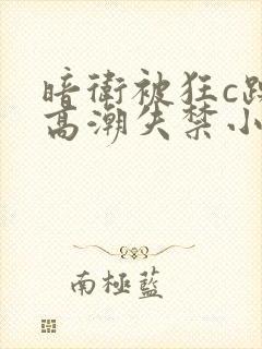 暗卫被狂c躁到高潮失禁小说