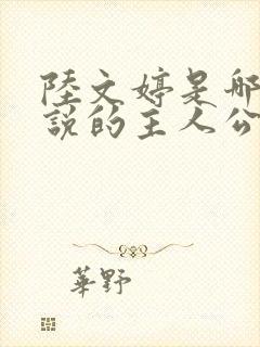 陆文婷是哪部小说的主人公封面