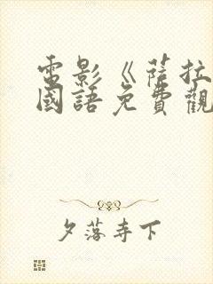 电影《萨拉尔》国语免费观看