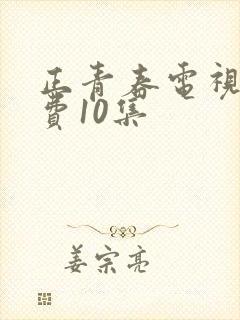 正青春电视剧免费10集