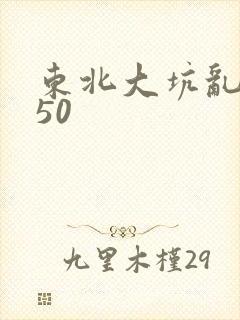 东北大坑乱1—50封面