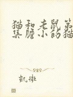 猫和老鼠第14集胆小的猫咪封面