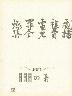 燃罪电视剧36集全免费播放下载