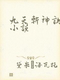 九天斩神诀林辰小说