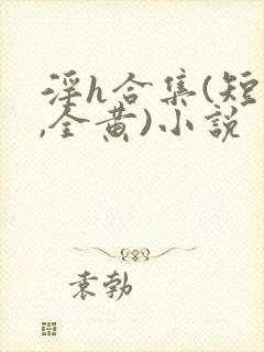 淫h合集(短篇,全黄)小说