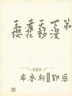 王者天下第一季樱花动漫