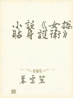 小说《女总裁的贴身护卫》