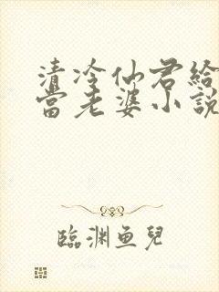 清冷仙君给老丑当老婆小说简介封面