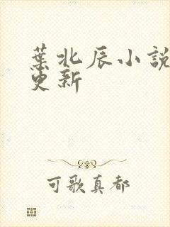 叶北辰小说最新更新