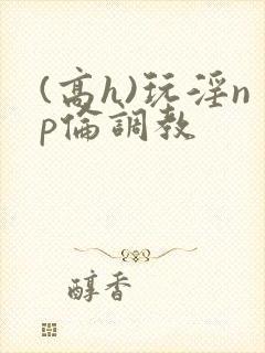 (高h)玩淫np伦调教