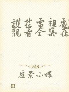 护花电视剧免费观看全集在线播放