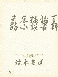 叶辰孙怡夏若雪的小说最新