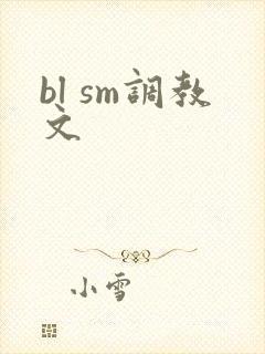 bl sm调教文封面