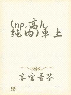 (np,高h,纯肉)车上