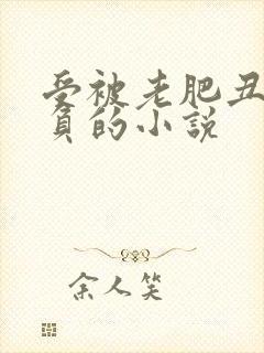 受被老肥丑攻欺负的小说