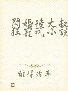 闪婚后大叔每天狂宠我小说完整免费