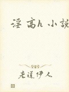 淫 高h 小说