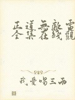 正道无敌电视剧全集在线观看免费