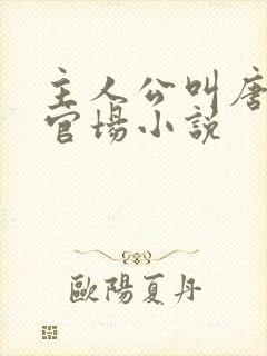 主人公叫唐诚的官场小说封面