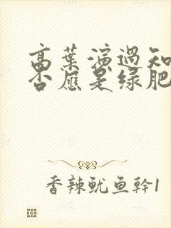高叶演过知否知否应是绿肥红瘦吗封面