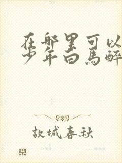 在哪里可以看到少年白马醉春风真人版电视剧