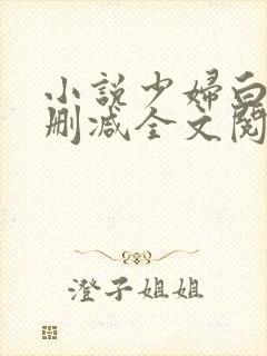 小说少妇白洁无删减全文阅读