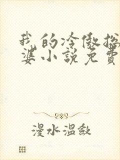 我的冷傲总裁老婆小说免费阅读封面