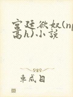 宫廷欲奴(np高h)小说