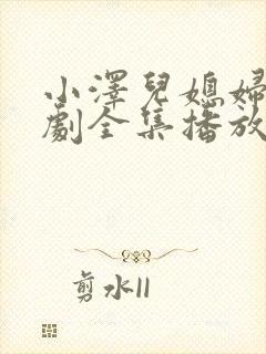 小泽儿媳妇电视剧全集播放