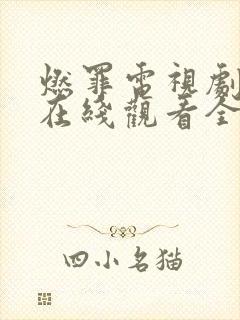 燃罪电视剧免费在线观看全集