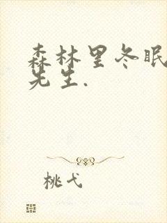 森林里冬眠的熊先生.