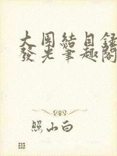 大团结目录闪闪发光笔趣阁封面