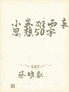 小英雄雨来中心思想50字