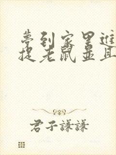 梦到家里进老鼠捉老鼠并且都捉到了封面