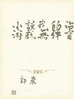 小说我的治愈系游戏无弹窗封面