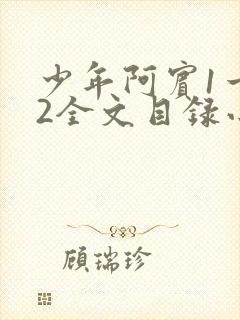 少年阿宾1一72全文目录小说