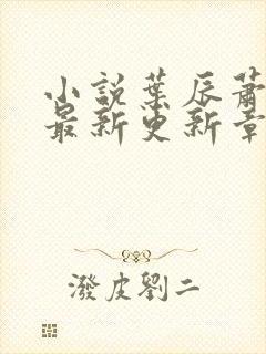 小说叶辰萧初然最新更新章节