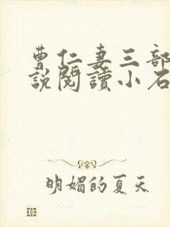 曹仁妻三部曲小说阅读小石