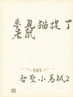 梦见猫捉了一只老鼠