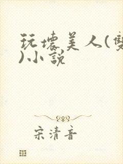 玩坏美人(双性)小说