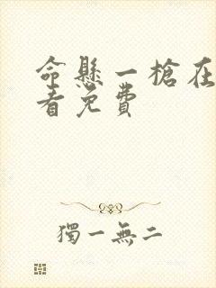 命悬一枪在线观看免费