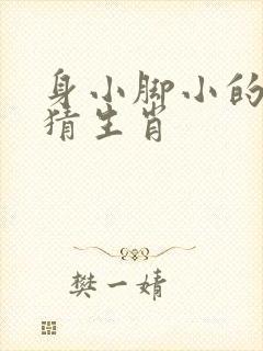 身小脚小的动物猜生肖