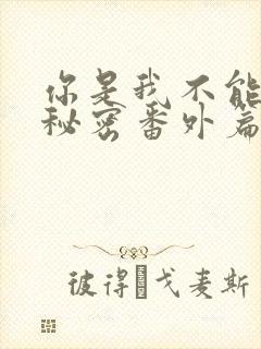 你是我不能说的秘密番外篇两年后封面