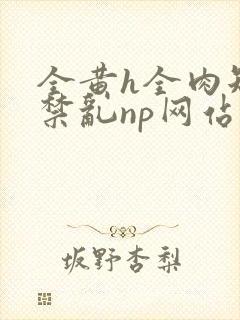 全黄h全肉短篇禁乱np网站