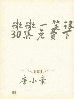 微微一笑很倾城30集免费下载