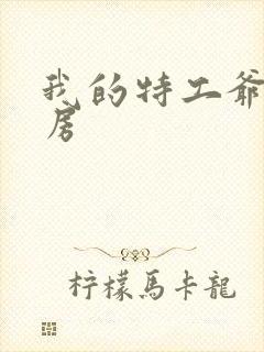 我的特工爷爷票房