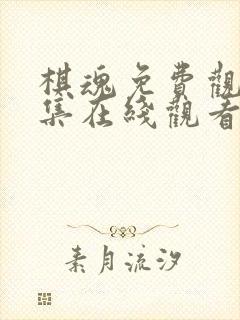 棋魂免费观看全集在线观看电视剧全网观看